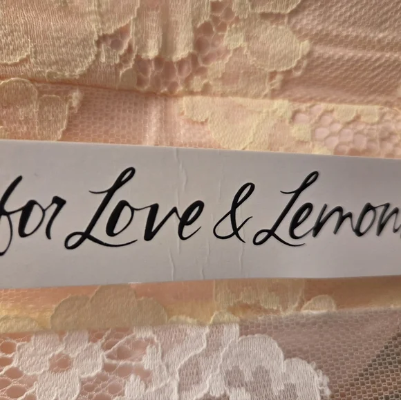 For Love & Lemons Lemonade Bustier Plunge Gown for Your Honeymoon! - Picture 2 of 7